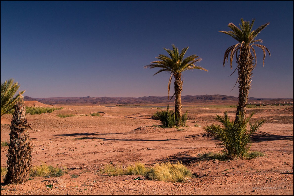 ouarzazate02