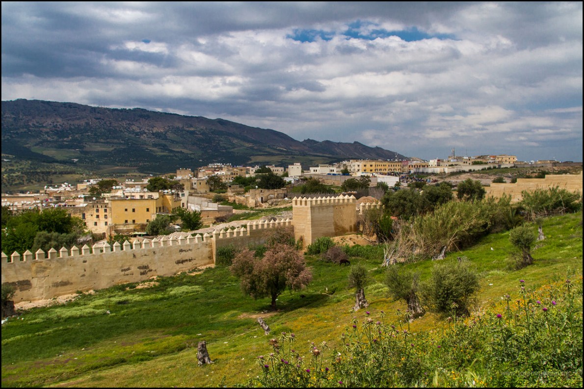 fes02