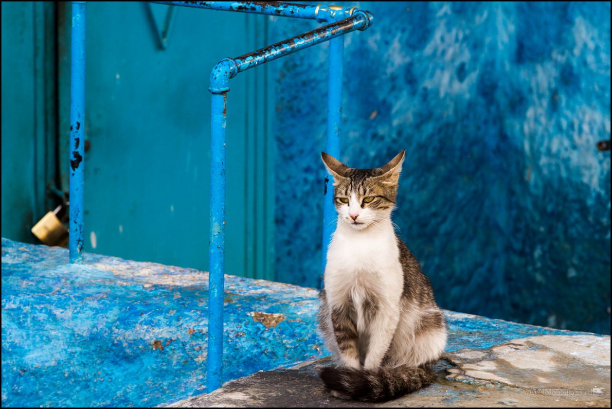 chefchaouen12