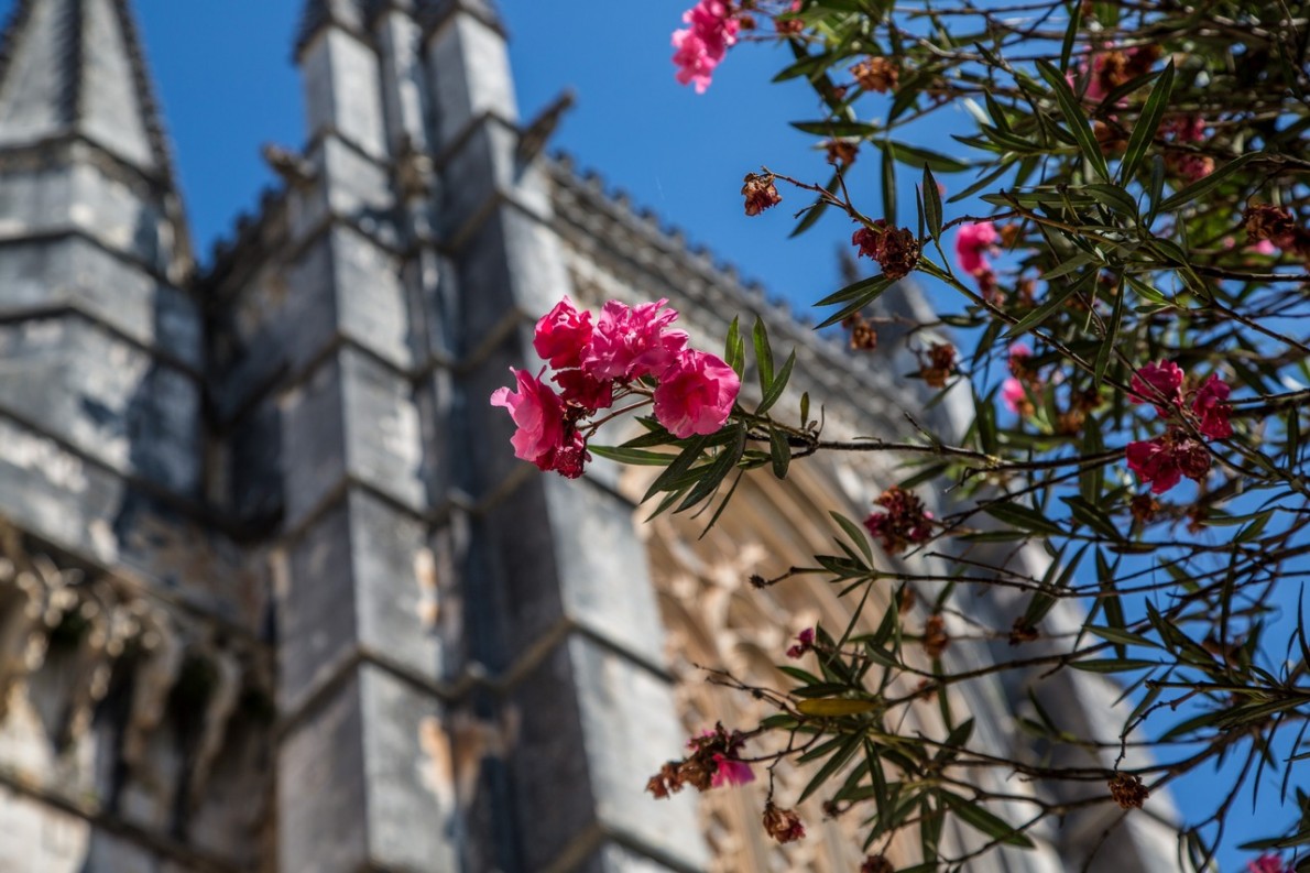 kloster batalha 020