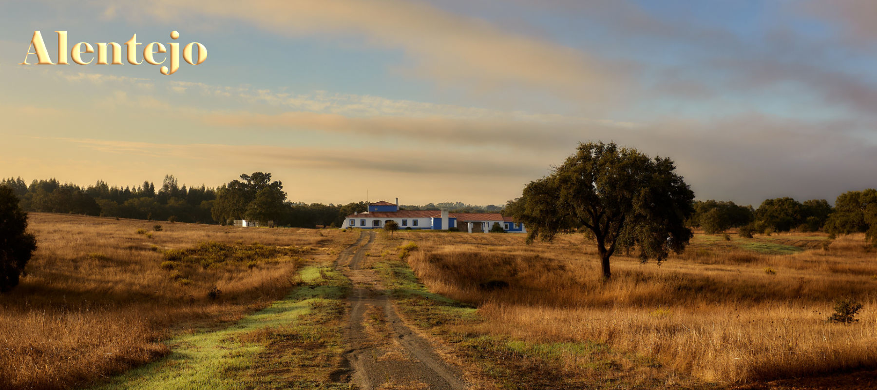 Titel Alentejo 03